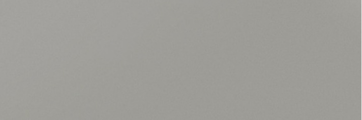 Моногамма Серый — 600 × 200 × 9 мм